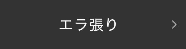 エラ張り