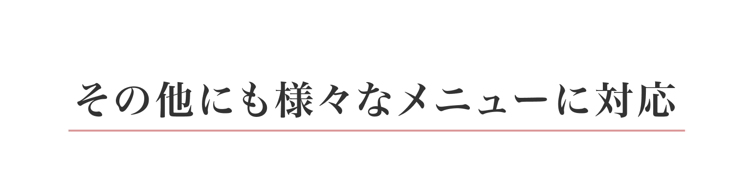 その他にも様々なメニューに対応
